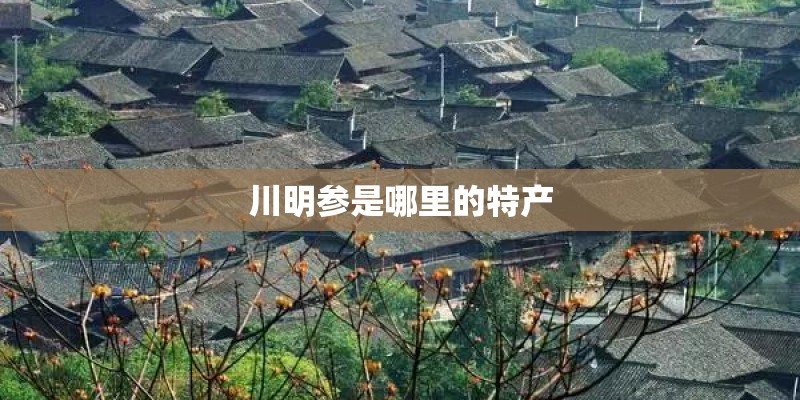 川明参是哪里的特产