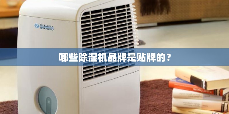 哪些除湿机品牌是贴牌的? 哪些除湿机品牌是贴牌的?