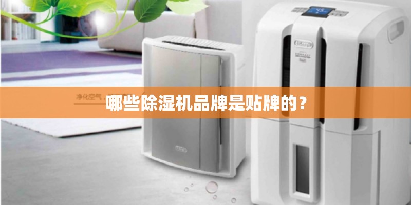 哪些除湿机品牌是贴牌的? 哪些除湿机品牌是贴牌的?