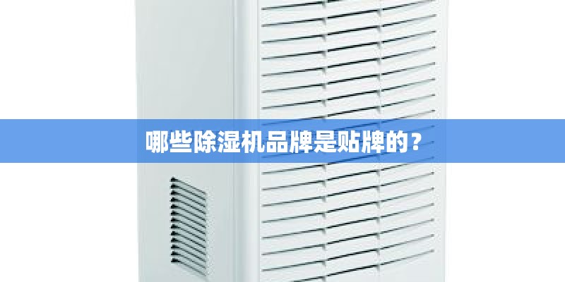 哪些除湿机品牌是贴牌的? 哪些除湿机品牌是贴牌的?
