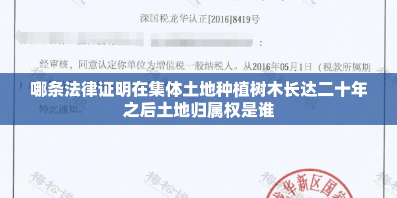 哪条法律证明在集体土地种植树木长达二十年之后土地归属权是谁 哪条法律证明在集体土地种植树木长达二十年之后土地归属权是谁