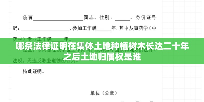哪条法律证明在集体土地种植树木长达二十年之后土地归属权是谁 哪条法律证明在集体土地种植树木长达二十年之后土地归属权是谁