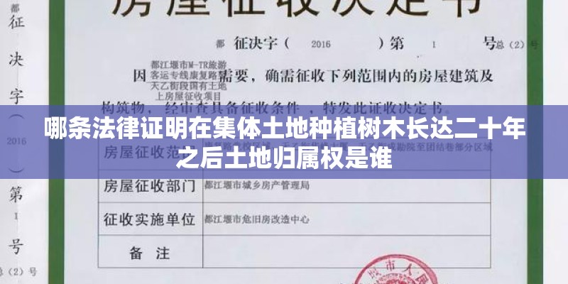哪条法律证明在集体土地种植树木长达二十年之后土地归属权是谁 哪条法律证明在集体土地种植树木长达二十年之后土地归属权是谁