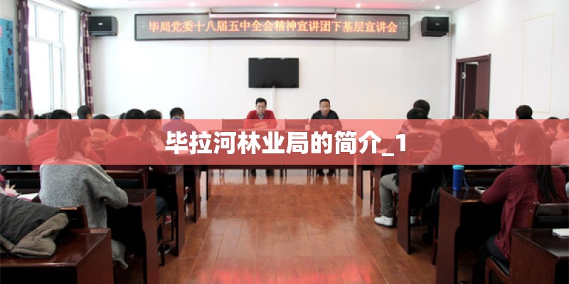 毕拉河林业局的简介_1 毕拉河林业局的简介_1