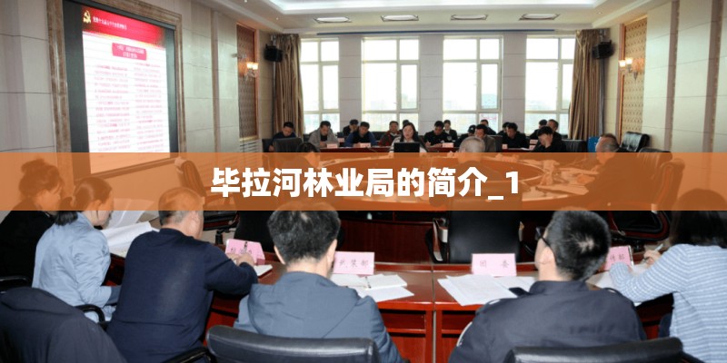 毕拉河林业局的简介_1 毕拉河林业局的简介_1
