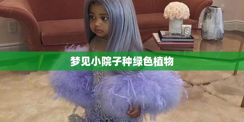 梦见小院子种绿色植物