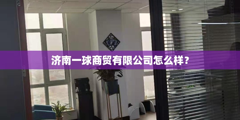 济南一球商贸有限公司怎么样？