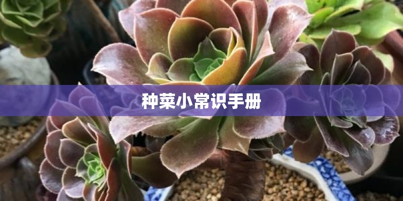 种菜小常识手册