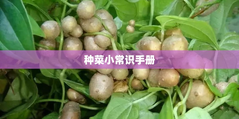 种菜小常识手册