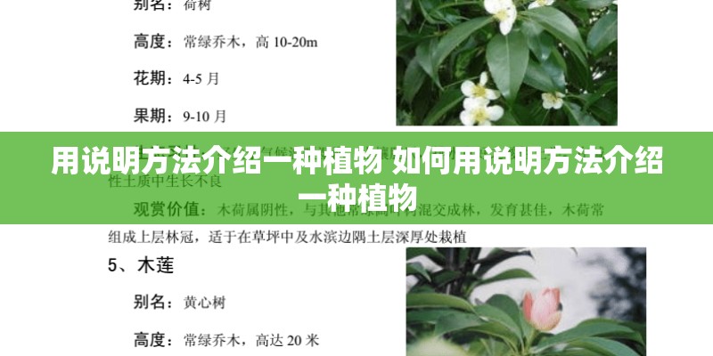 用说明方法介绍一种植物 如何用说明方法介绍一种植物 用说明方法介绍一种植物 如何用说明方法介绍一种植物