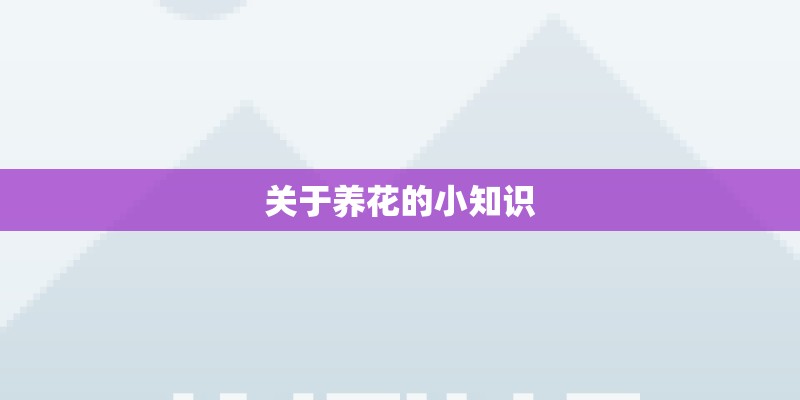 关于养花的小知识