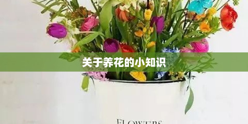 关于养花的小知识