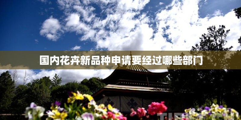 国内花卉新品种申请要经过哪些部门