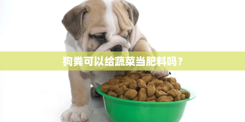 狗粪可以给蔬菜当肥料吗? 狗粪可以给蔬菜当肥料吗?