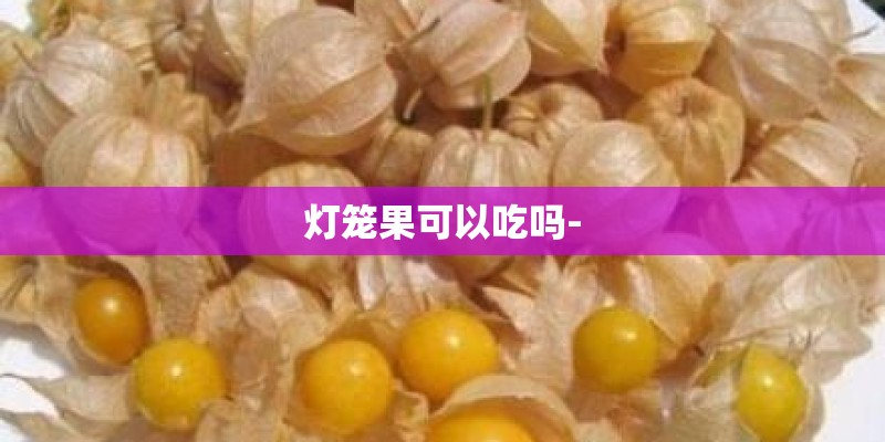 灯笼果可以吃吗- 灯笼果可以吃吗-