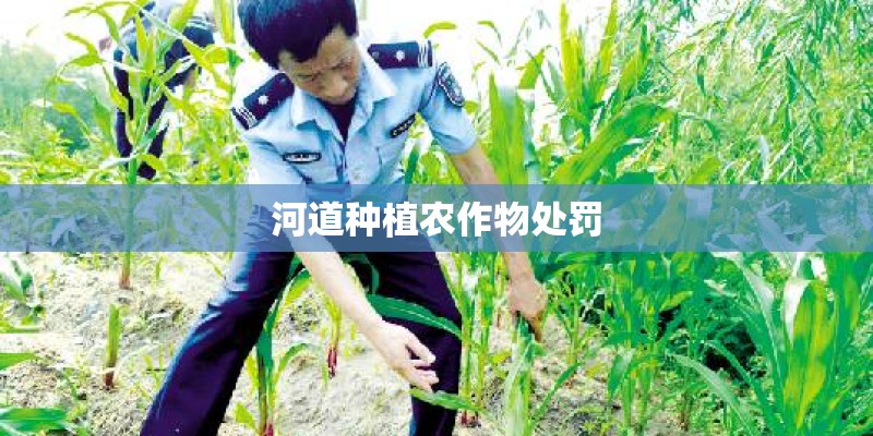 河道种植农作物处罚