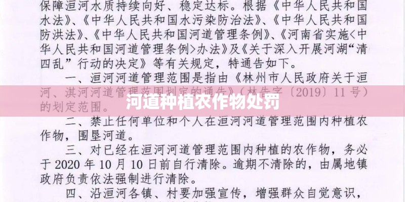 河道种植农作物处罚