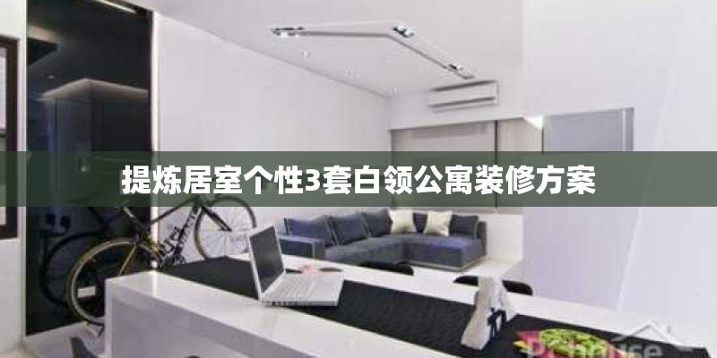 提炼居室个性3套白领公寓装修方案
