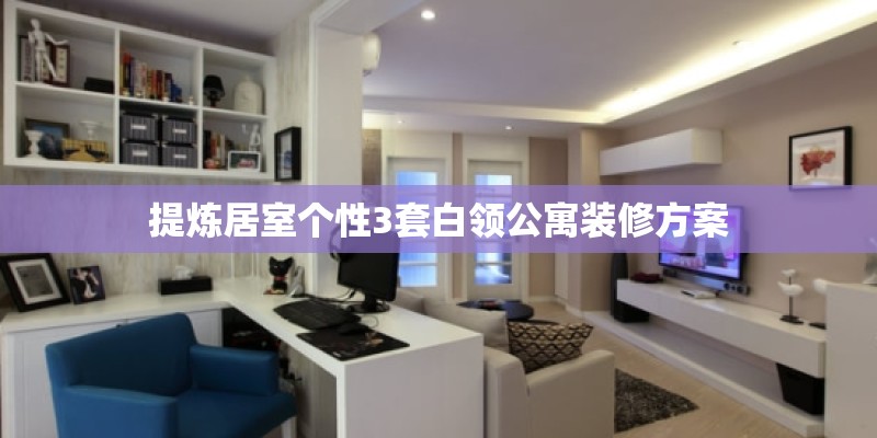 提炼居室个性3套白领公寓装修方案