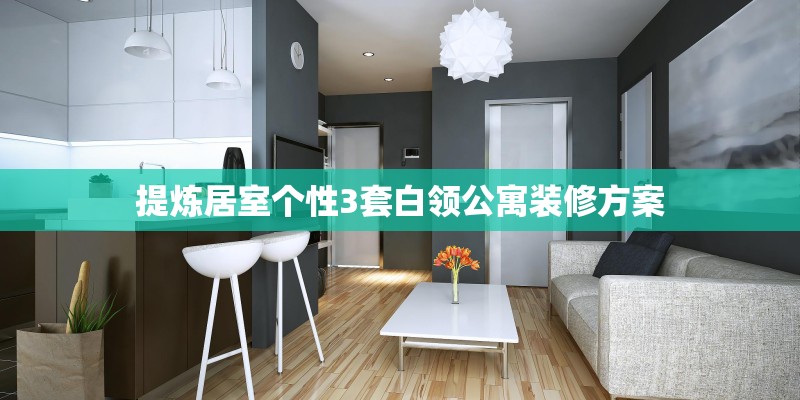 提炼居室个性3套白领公寓装修方案