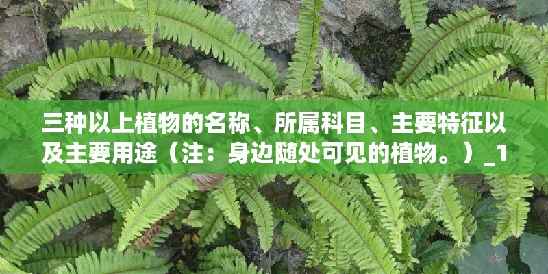 三种以上植物的名称、所属科目、主要特征以及主要用途（注：身边随处可见的植物。）_1