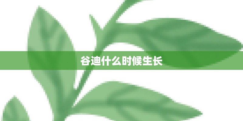 谷迪什么时候生长 谷迪什么时候生长