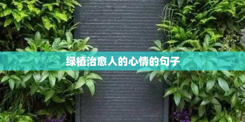 绿植治愈人的心情的句子