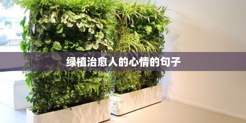 绿植治愈人的心情的句子