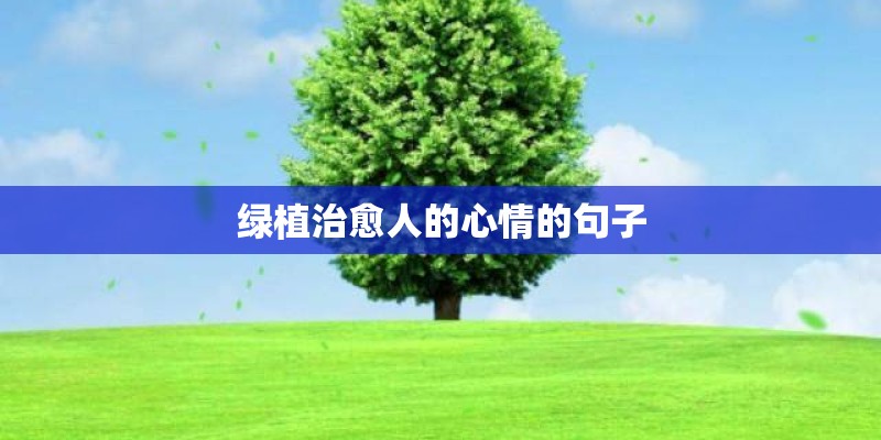 绿植治愈人的心情的句子