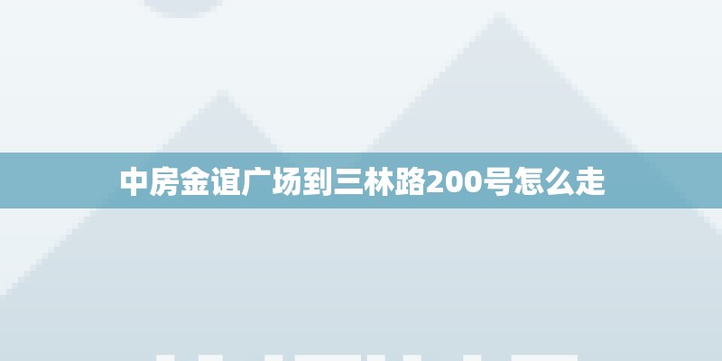 中房金谊广场到三林路200号怎么走