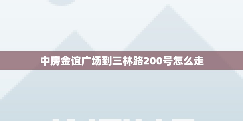 中房金谊广场到三林路200号怎么走