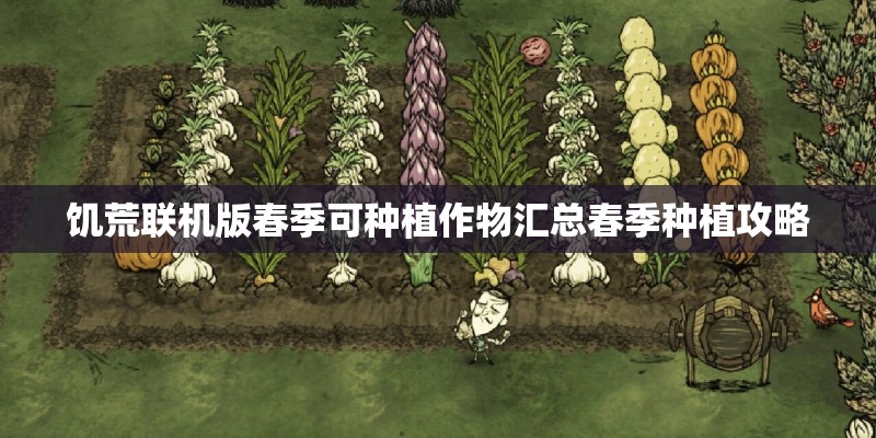 饥荒联机版春季可种植作物汇总春季种植攻略 饥荒联机版春季可种植作物汇总春季种植攻略