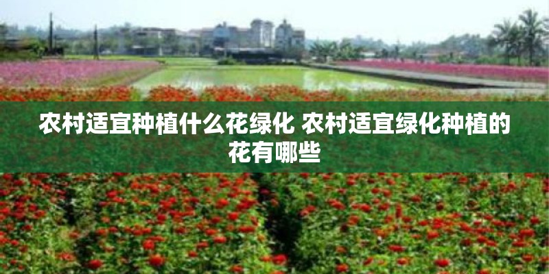 农村适宜种植什么花绿化 农村适宜绿化种植的花有哪些