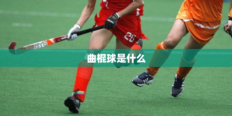 曲棍球是什么 曲棍球是什么