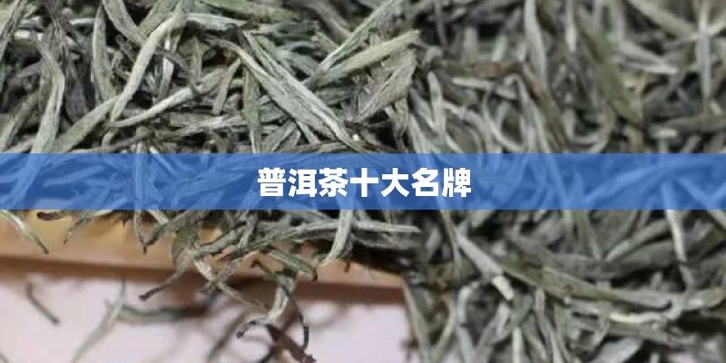 普洱茶十大名牌 普洱茶十大名牌