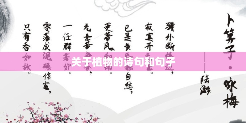 关于植物的诗句和句子 关于植物的诗句和句子