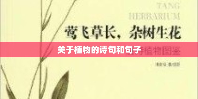 关于植物的诗句和句子 关于植物的诗句和句子