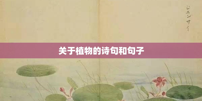 关于植物的诗句和句子 关于植物的诗句和句子