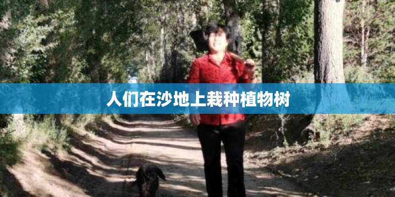 人们在沙地上栽种植物树