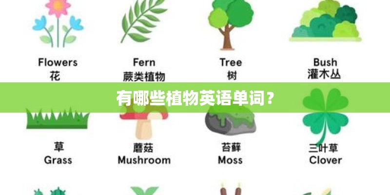 有哪些植物英语单词? 有哪些植物英语单词?
