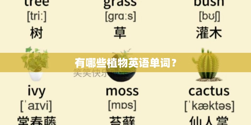 有哪些植物英语单词? 有哪些植物英语单词?