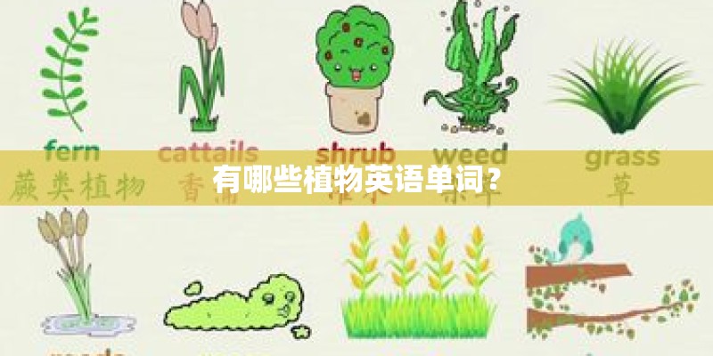 有哪些植物英语单词? 有哪些植物英语单词?