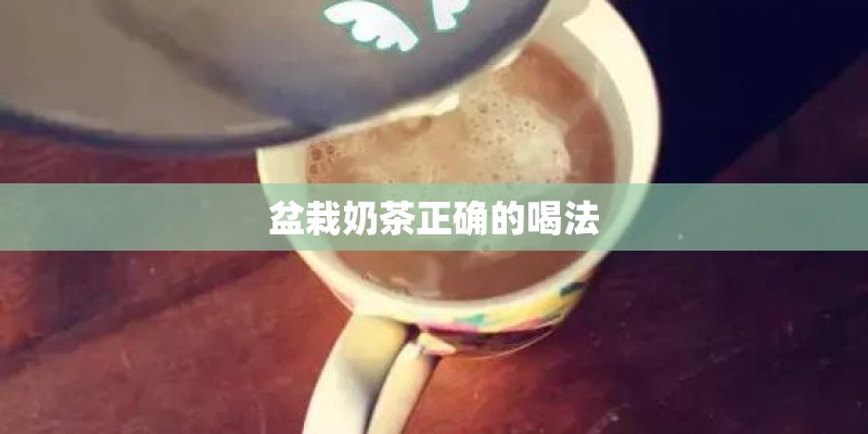 盆栽奶茶正确的喝法