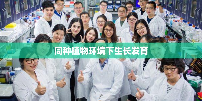 同种植物环境下生长发育 同种植物环境下生长发育