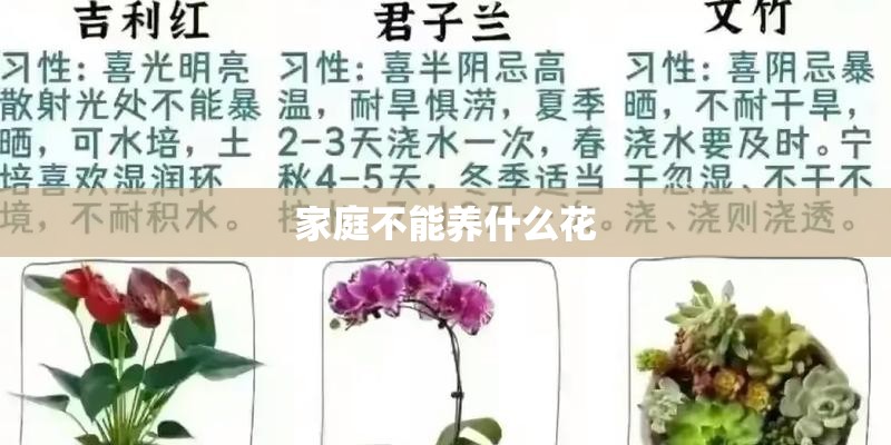 家庭不能养什么花