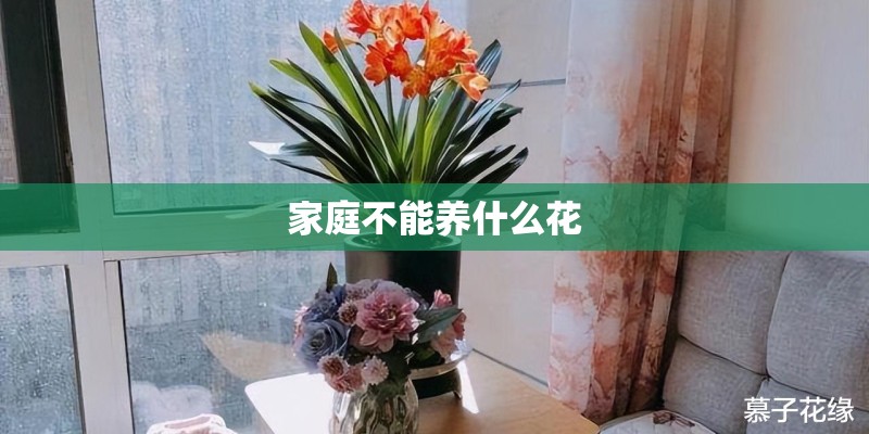 家庭不能养什么花