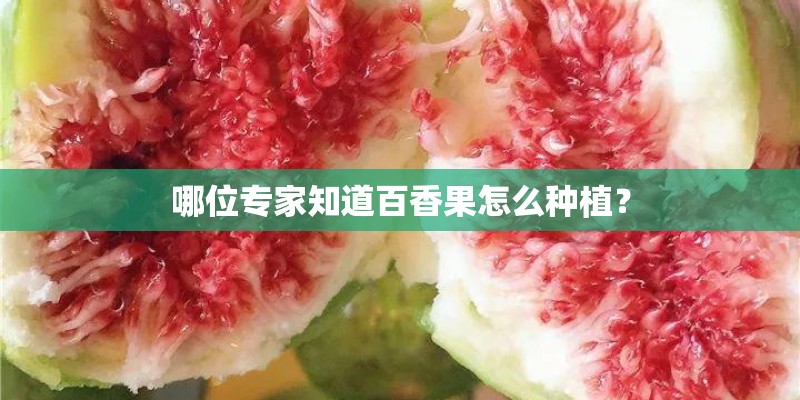 哪位专家知道百香果怎么种植？