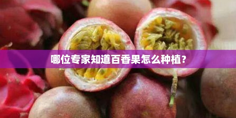 哪位专家知道百香果怎么种植？