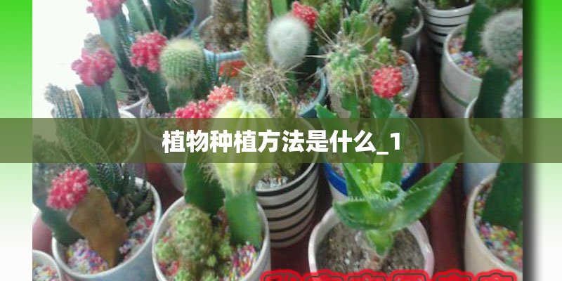 植物种植方法是什么_1