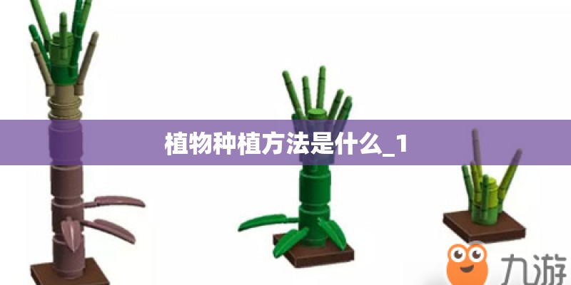 植物种植方法是什么_1